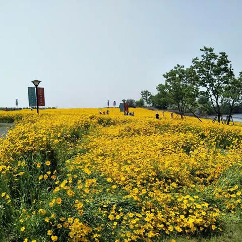 游无锡贡湖湾+惠山古镇