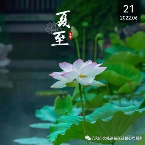 第四期智慧父母读书会（总第46次）《非暴力沟通》（三）