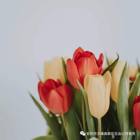 "腹有诗书，脚下有路"《非暴力沟通》（八）| 第四期智慧父母读书会（总第46次）