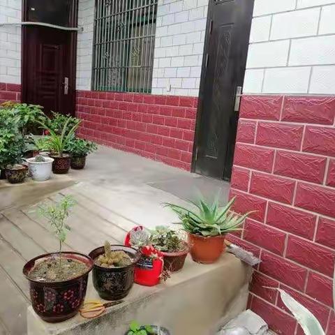 塔北社区的美篇