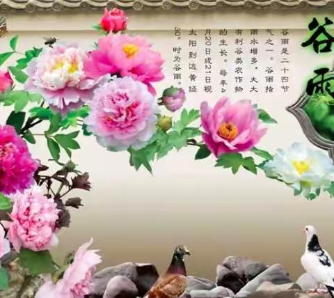 谷雨时节—识谷雨