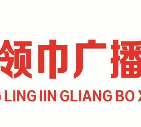 林海镇中心校“红领巾”广播站活动纪实