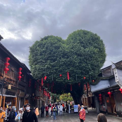 癸卯春节福州、泉州、平潭自驾游记