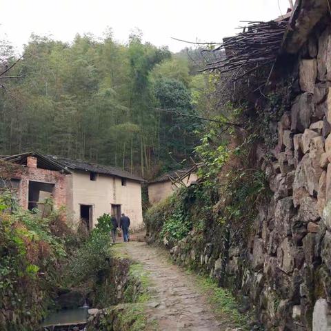 探路"十里红枫古道"