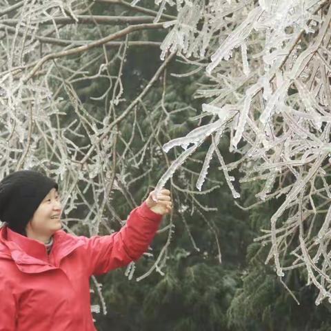 北山观雾淞