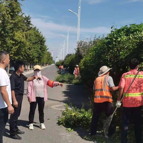 清理整治路边杂草美化居民生活环境