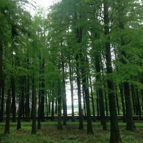 5.22风雨兼程的高邮东湖度假村之行，十多年未见面的大学同学见面了依然感觉原来她一直还在我身边。