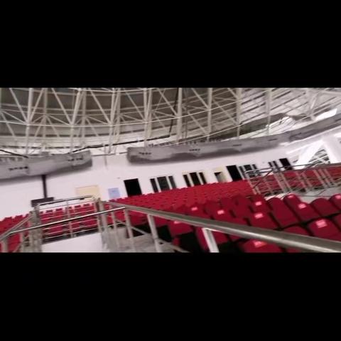 五虎的2021五一节