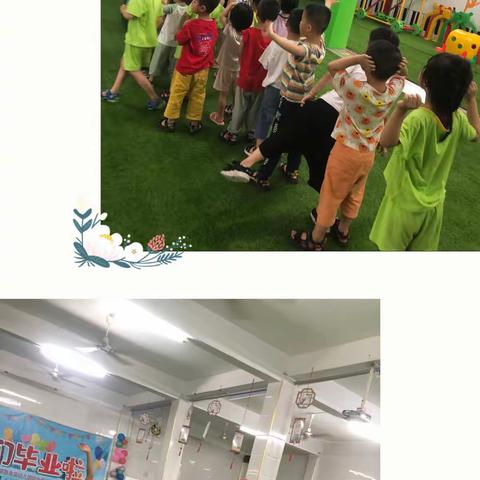 【生命在于运动】—金苗幼儿园快乐体智能