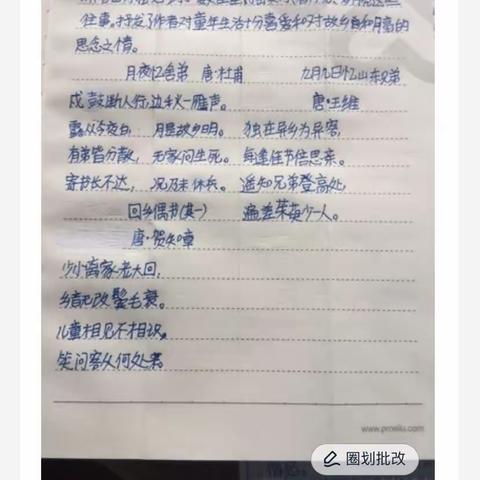 作业展示