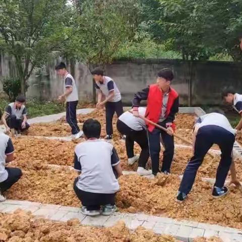 劳动体验生活 实践助力成长——风华镇中心学校中学部开展劳动实践教育活动