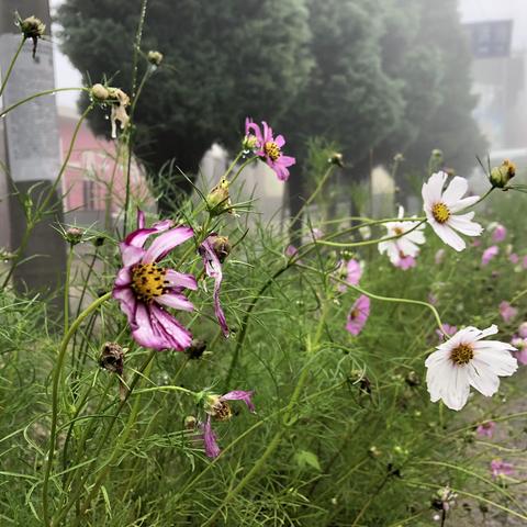 恒大教育2019野外生存夏令营