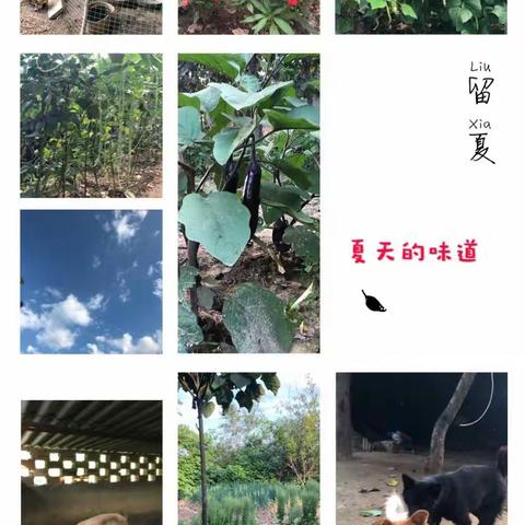 被风吹过的夏天