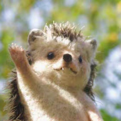 西关小学一（1）班九月生活片段