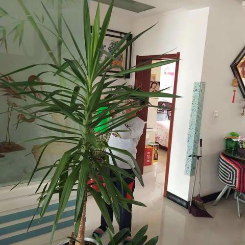 帮妈妈做家务