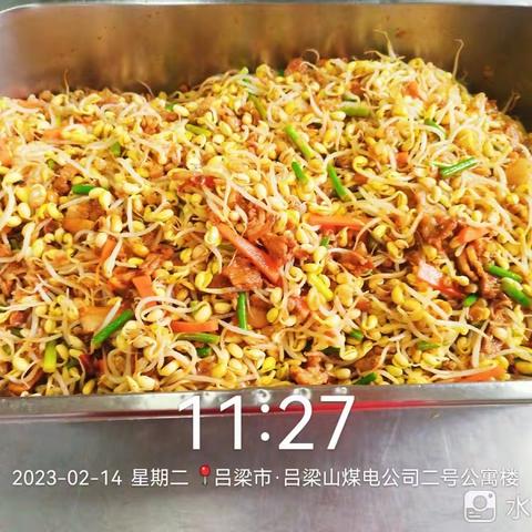 总公司项目菜品