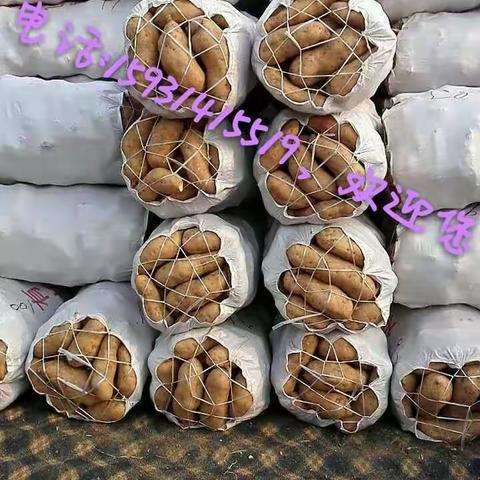 行唐县龙门红薯种植专业合作社🙌🙌🙌