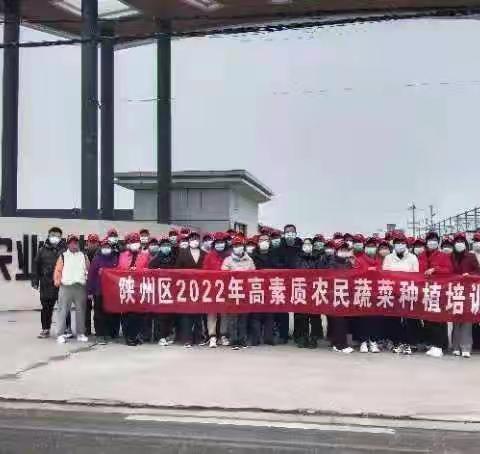 【陕州农业】西取杨凌蔬菜种植真经  打造陕州蔬菜种植精品