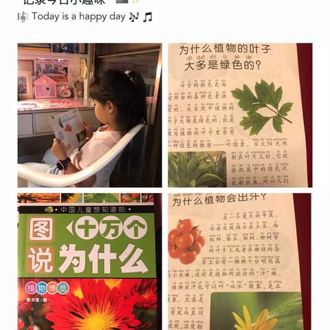 朵朵家的亲子共读第5天