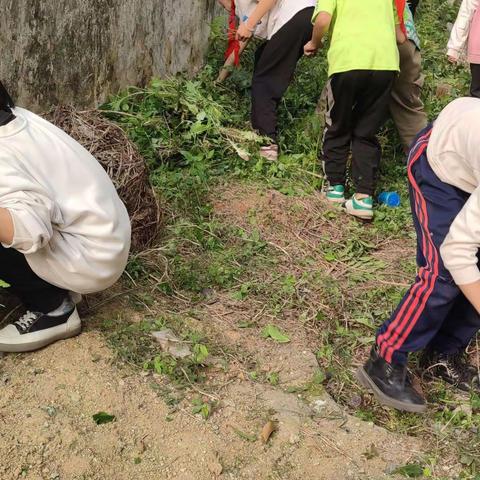 百变叶子，创意无限—浦北县乐民镇蒙竹龙塘分校美术课堂