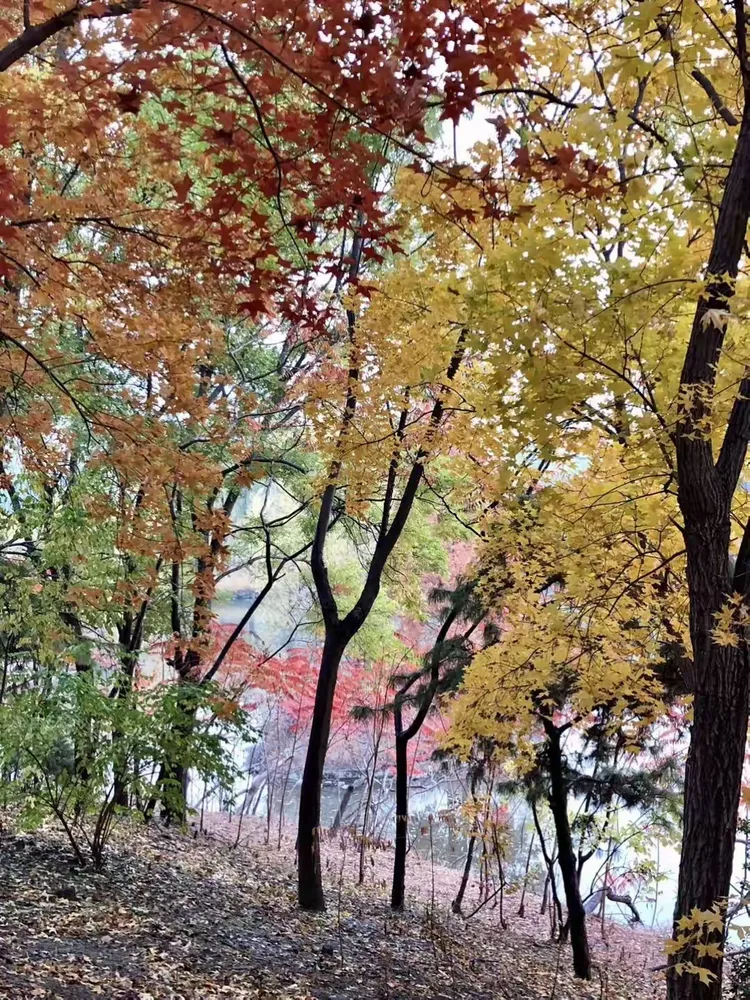 留下秋天的足迹