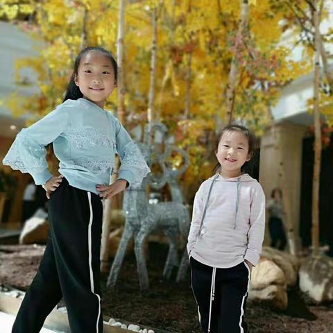 瑞雪姐妹的2019年