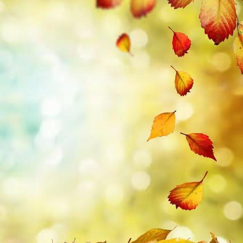 嘿😜，一起“趣”秋游