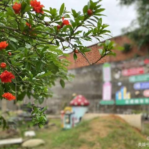 时光清浅，许你安然,﻿不负成长,岁月可期！———启蒙幼儿园小（1）班六一主题活动