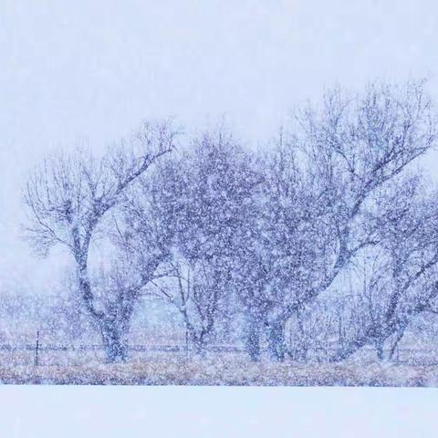 【边塞诗词-29期】春韵诗词（28首）