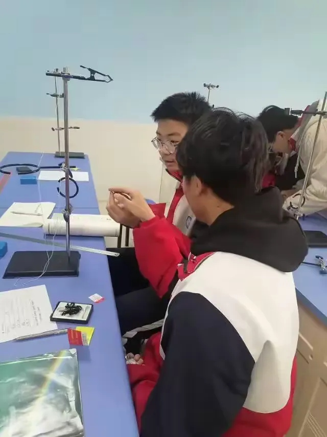 高二物理下学期实验教学