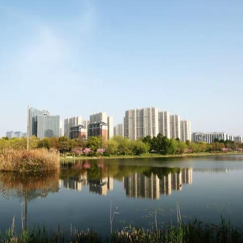 南通的春天真美