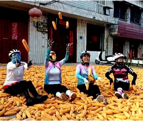 环线晨骑三镇三山两区(安皋镇、谢庄镇、羊磨大峡谷、塔子山、靳岗镇、卧龙区、宛城区)