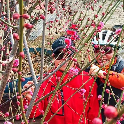 苍狼约伴梅花山庄