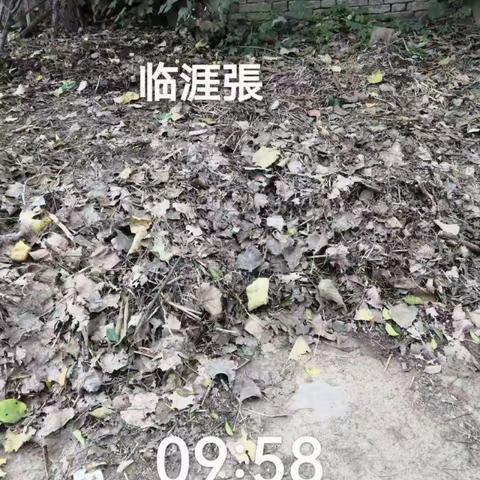 台陈镇人居办暗访督导通报（第十期）