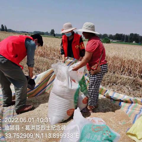 台陈镇：志愿帮扶  情系“三夏”