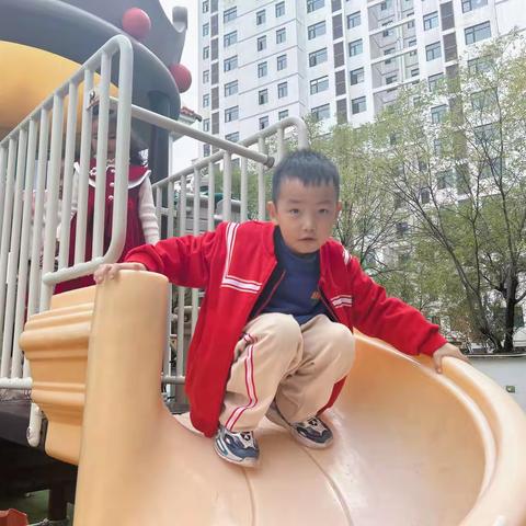 大一班第八周活动剪影