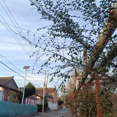 东旺村「景观」