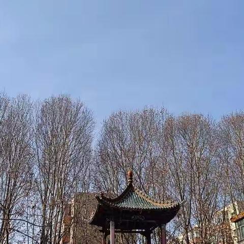 镇子前一马平川，清溪绕村，一派和谐的田园风