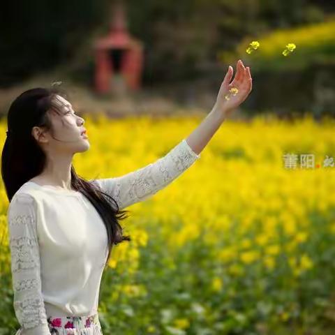 春花秋开