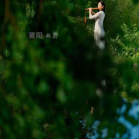 心 语