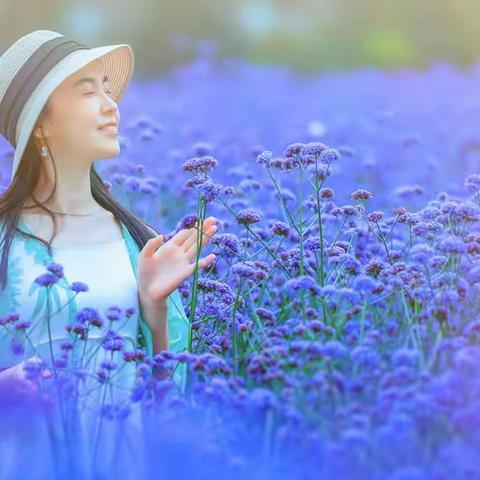 幸福花