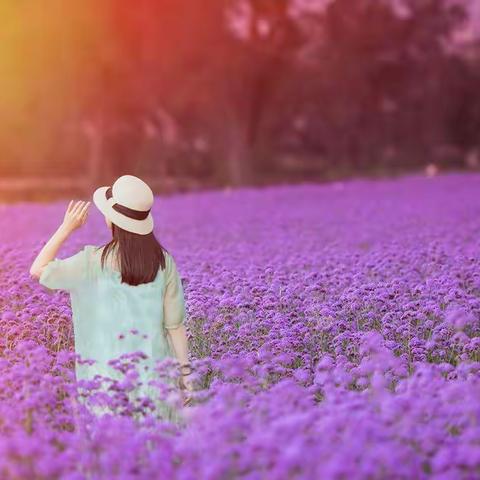 幸福花开