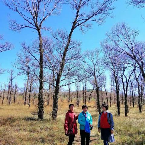 右玉（三）南山公园