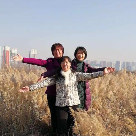 初冬暖阳照蒹葭