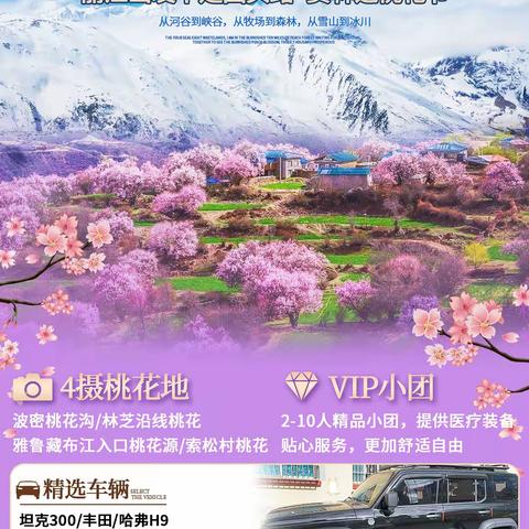 林芝桃花源|丽江至拉萨纯玩小团8日游