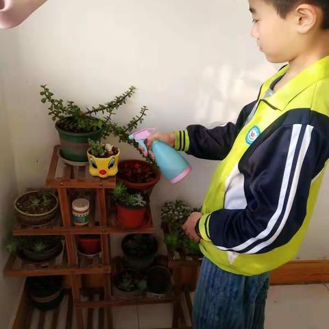 第五周第六周六一班劳动小明星