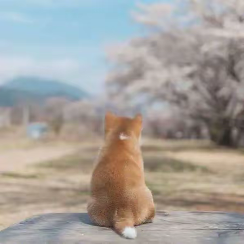 2022，我的大学生活