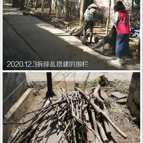 [南浪村网格员符慧珍]全心全意为村民服务