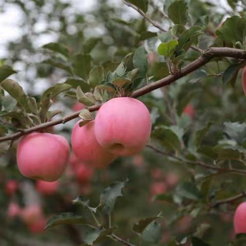 2017国庆相约甘肃