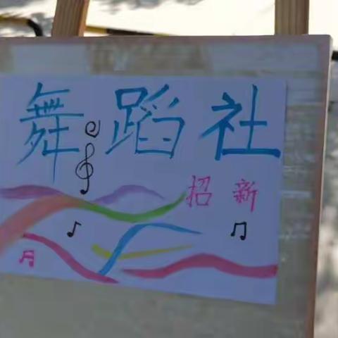 小井镇紫荆小学舞蹈社团——报名篇